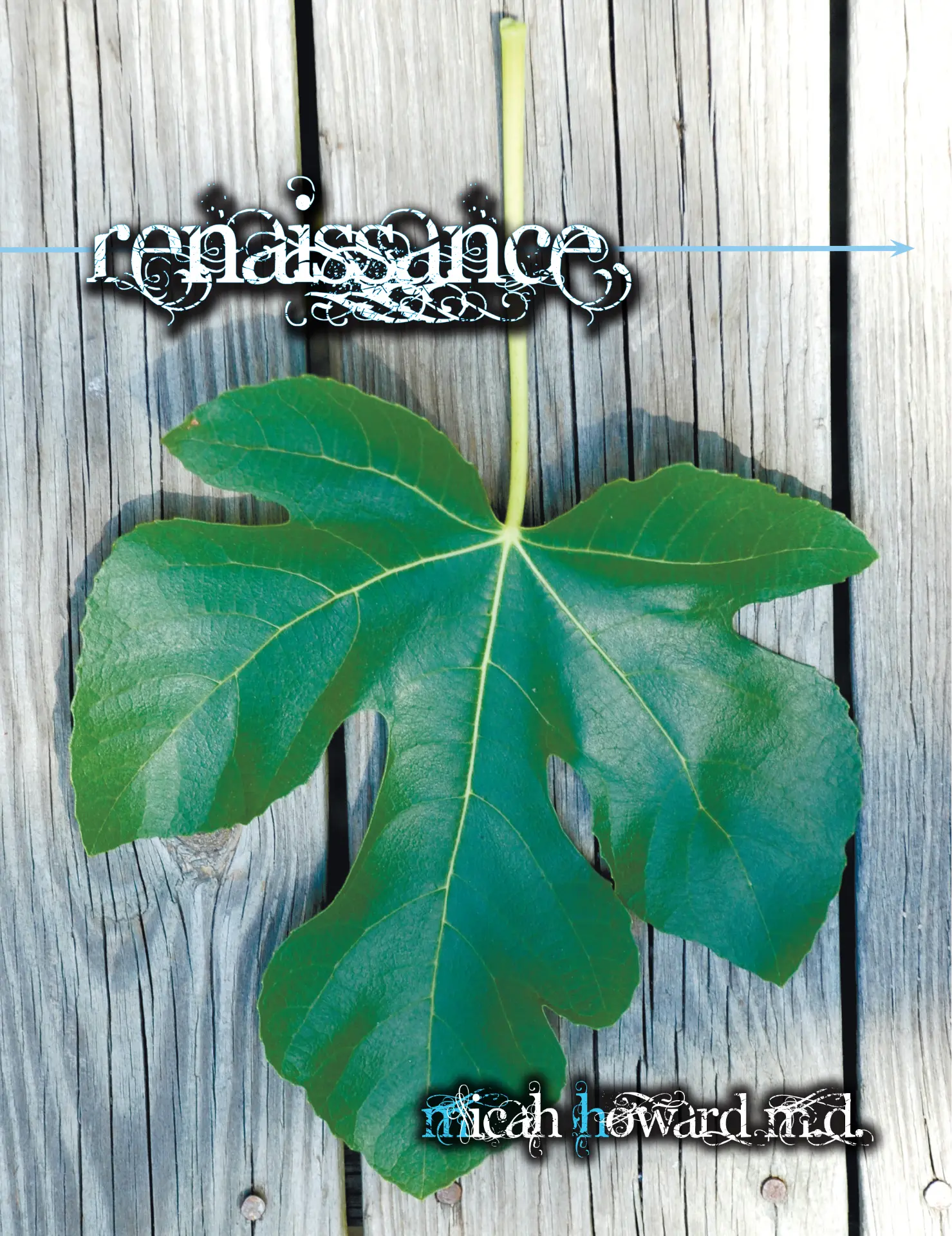 Renaissance — book cover